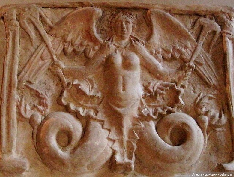 Миксопарфенос — Культура (фото 4)