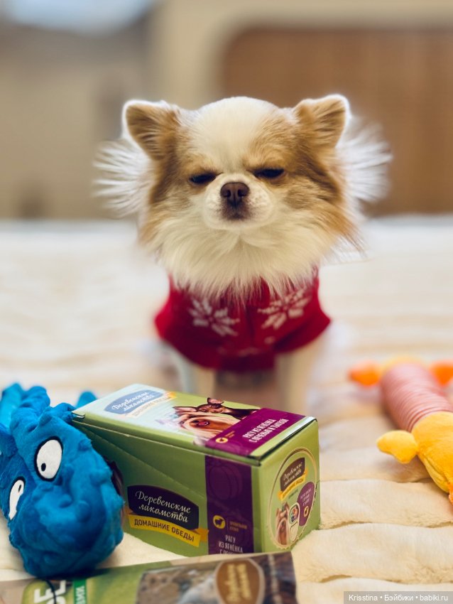 Любимый именинник 🎂 — Болталка и разговоры обо всем: жизнь