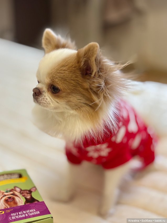 Любимый именинник 🎂 — Болталка и разговоры обо всем: жизнь (фото 5)