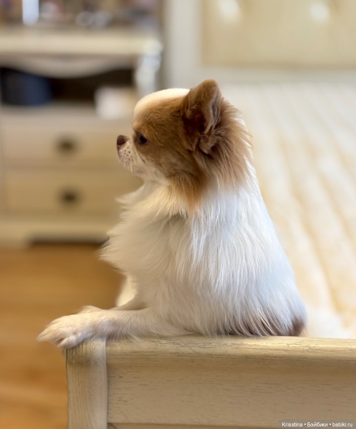 Любимый именинник 🎂 — Болталка и разговоры обо всем: жизнь (фото 9)