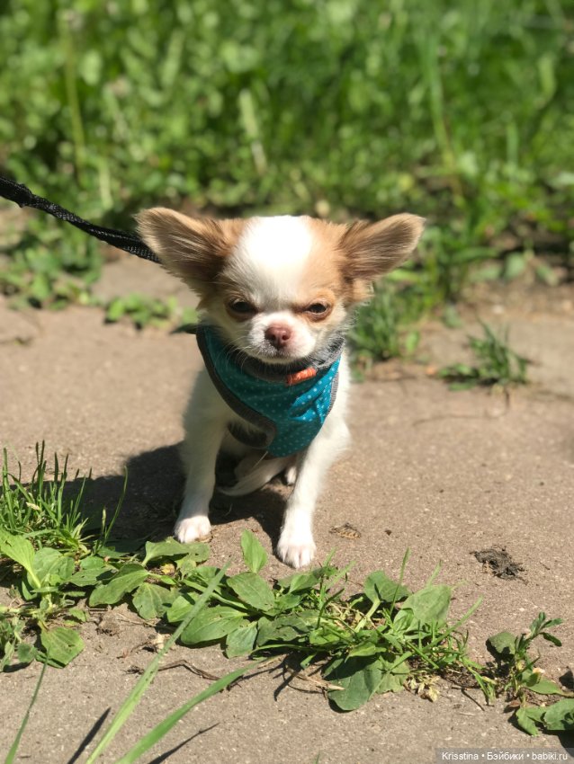 Любимый именинник 🎂 — Болталка и разговоры обо всем: жизнь
