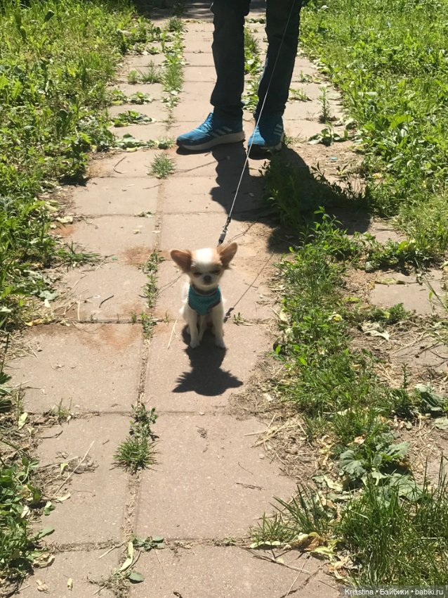 Любимый именинник 🎂 — Болталка и разговоры обо всем: жизнь