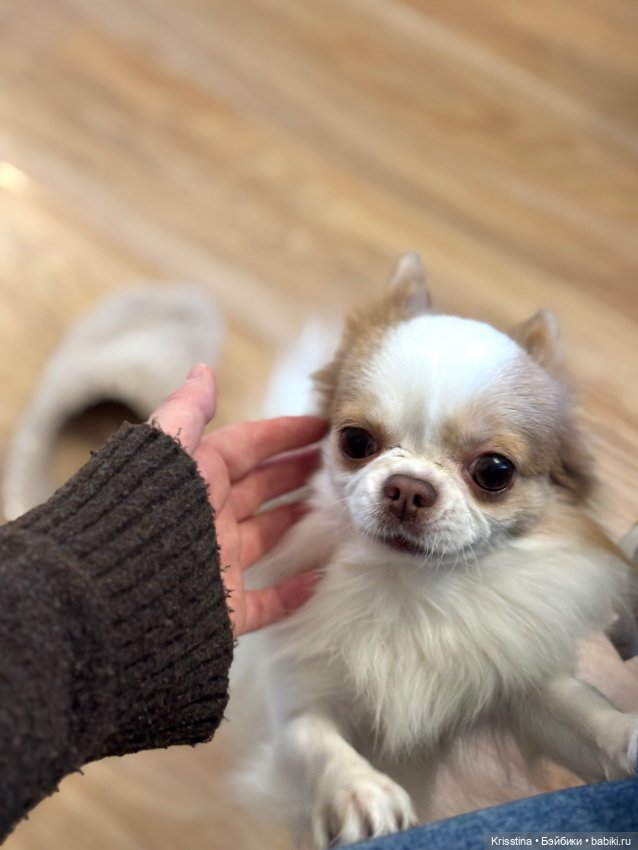 Любимый именинник 🎂 — Болталка и разговоры обо всем: жизнь (фото 8)