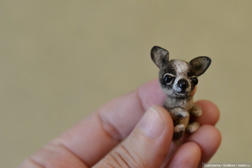 Апчи-хуахуа, или бывшая катушка ниток (фото 3)