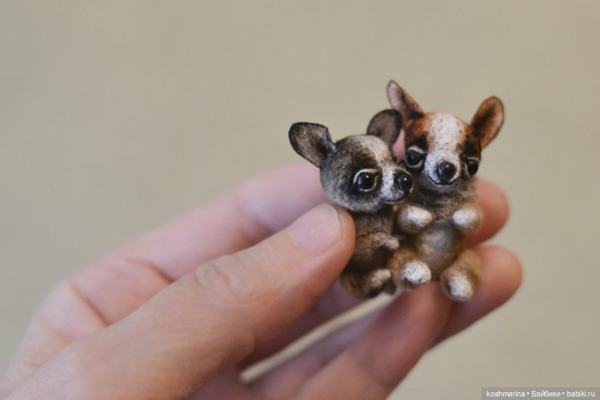 Апчи-хуахуа, или бывшая катушка ниток (фото 5)