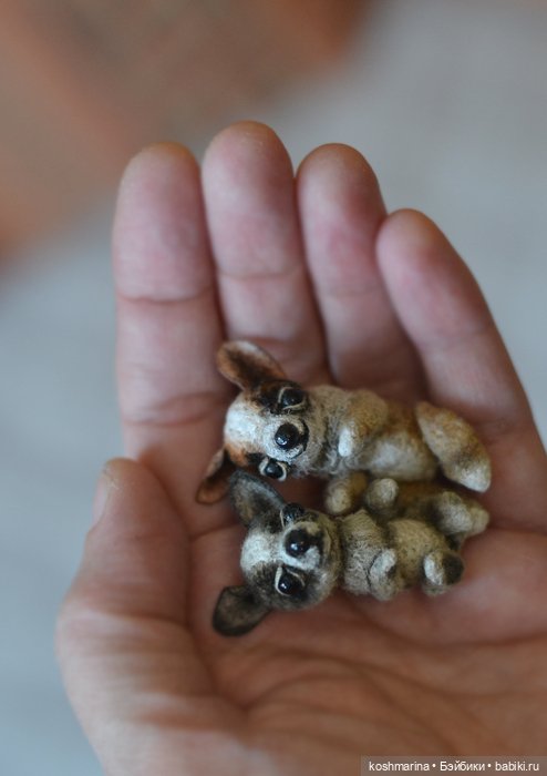 Апчи-хуахуа, или бывшая катушка ниток (фото 6)