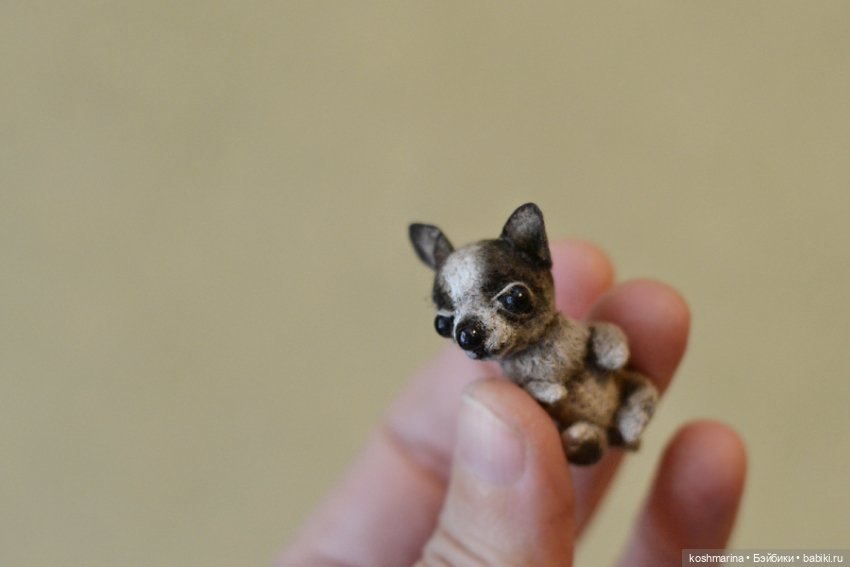 Апчи-хуахуа, или бывшая катушка ниток (фото 4)