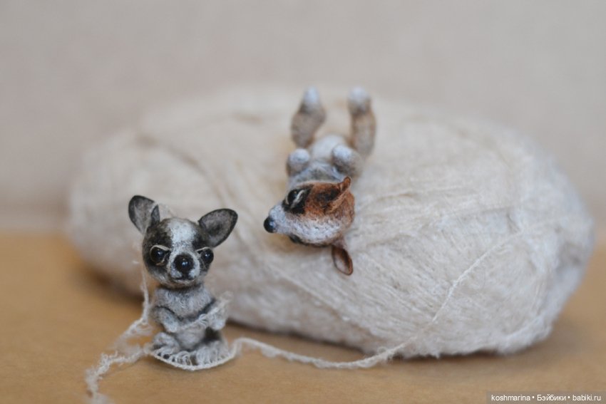 Апчи-хуахуа, или бывшая катушка ниток