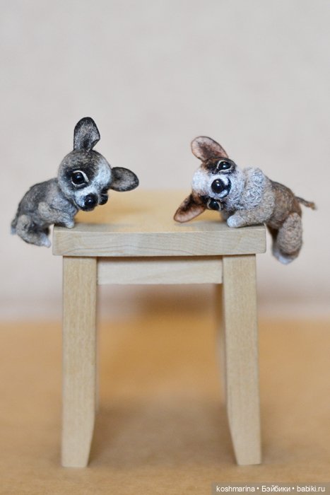 Апчи-хуахуа, или бывшая катушка ниток (фото 9)