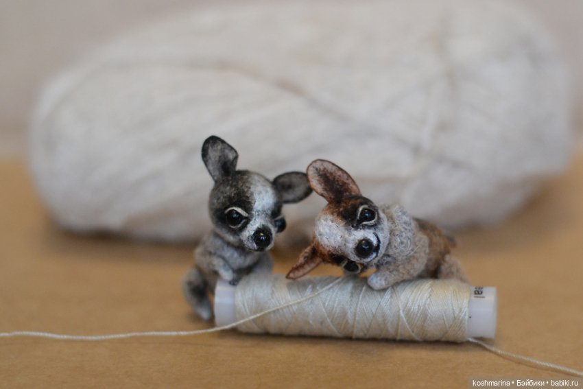 Апчи-хуахуа, или бывшая катушка ниток