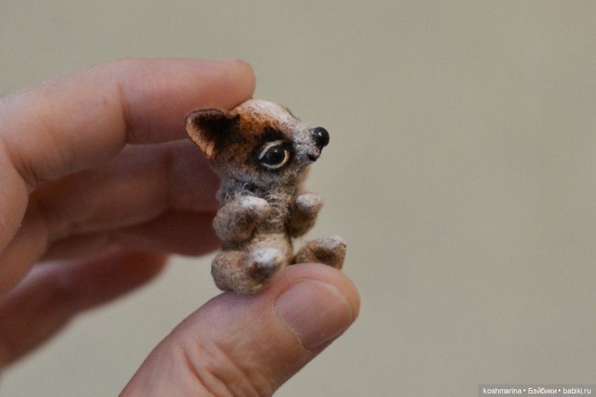 Апчи-хуахуа, или бывшая катушка ниток