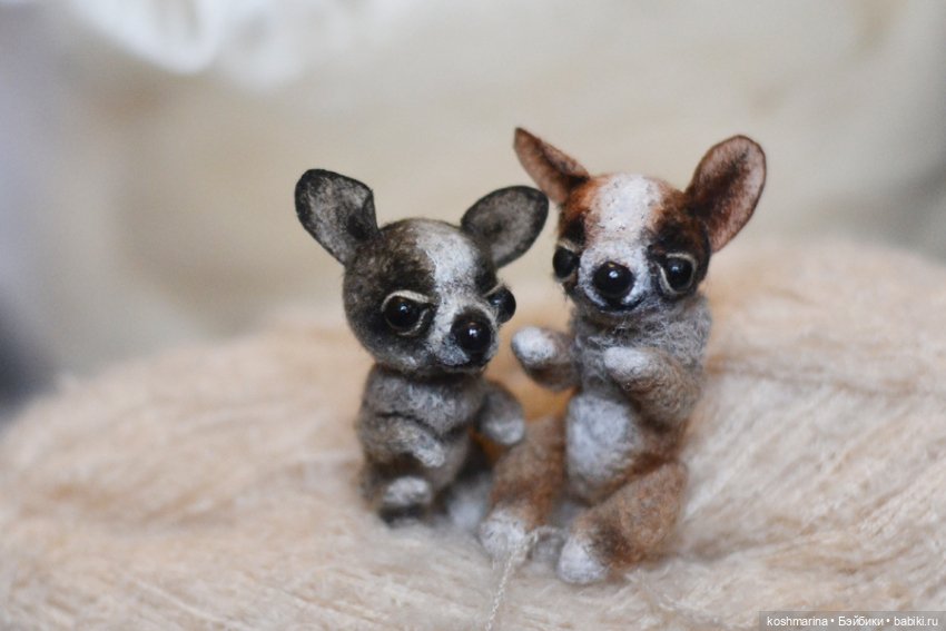 Апчи-хуахуа, или бывшая катушка ниток (фото 7)