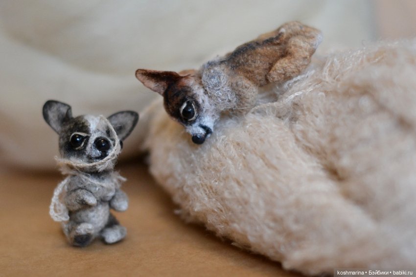 Апчи-хуахуа, или бывшая катушка ниток (фото 10)