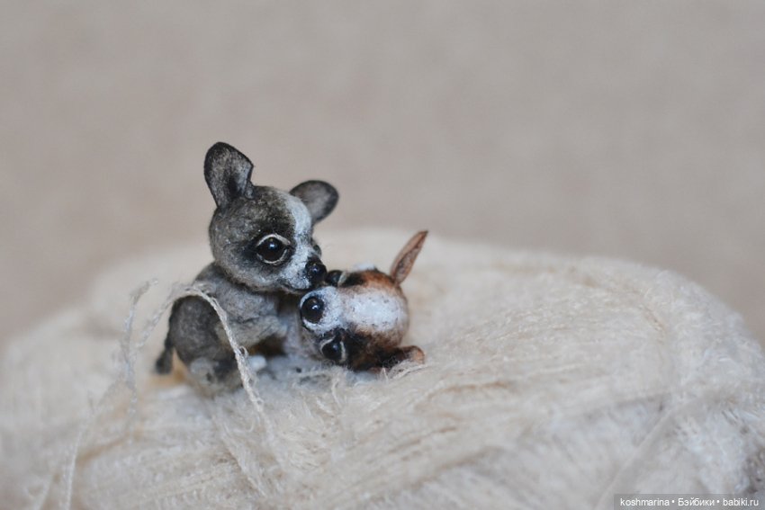 Апчи-хуахуа, или бывшая катушка ниток