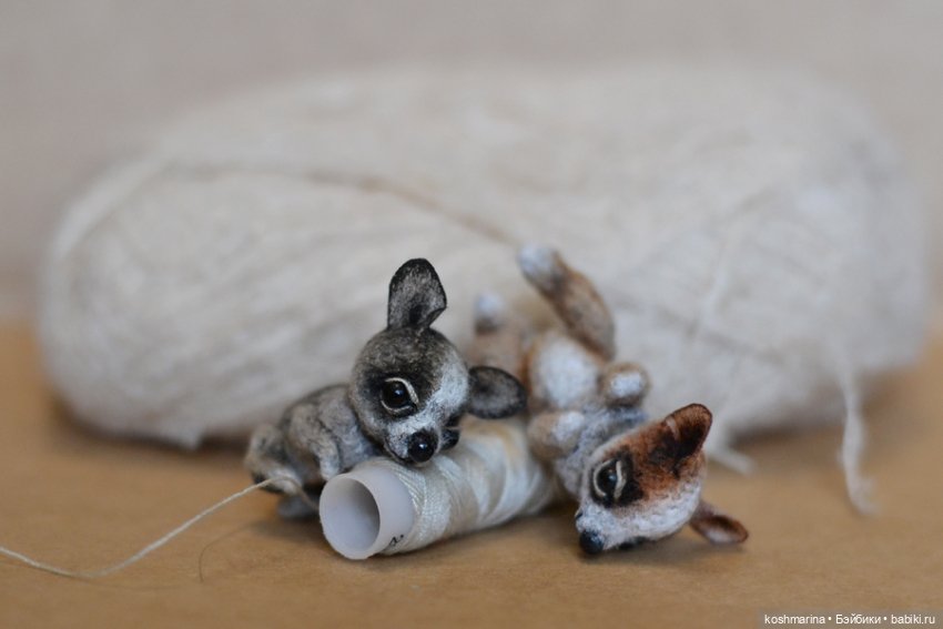 Апчи-хуахуа, или бывшая катушка ниток