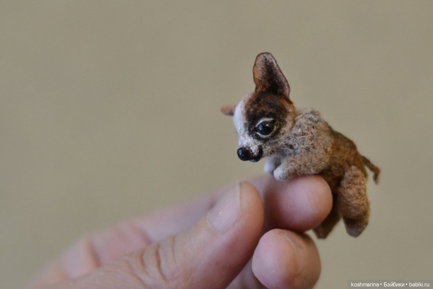 Апчи-хуахуа, или бывшая катушка ниток (фото 2)