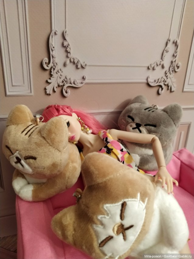 Доверься кошкам — Кукольные фотоистории и сериалы: комиксы