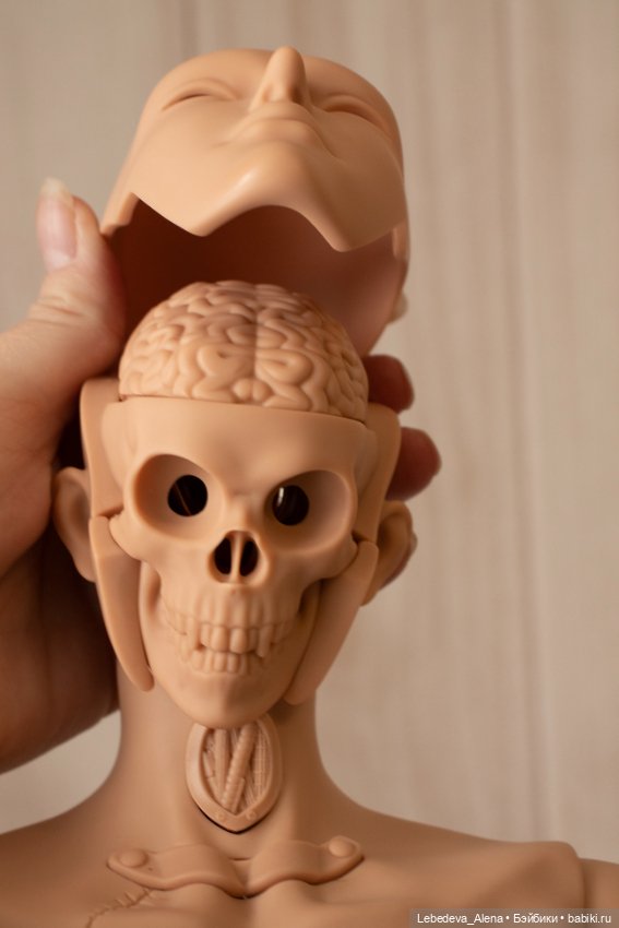 Распаковка — Разные куклы BJD (БЖД): редкие бренды