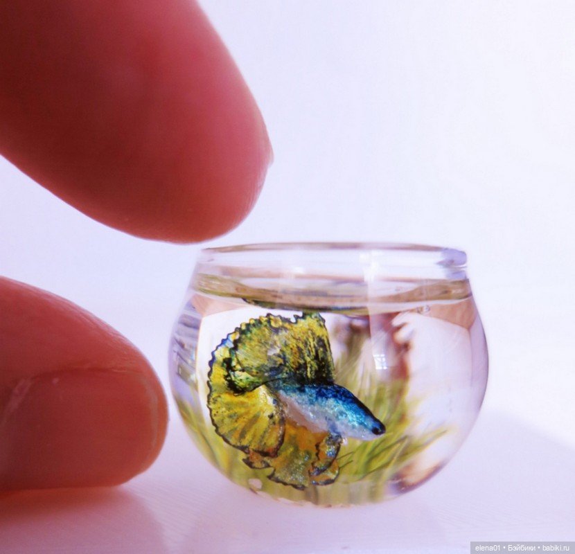 Мини-аквариумы от Fátima J. Doña (фото 5)