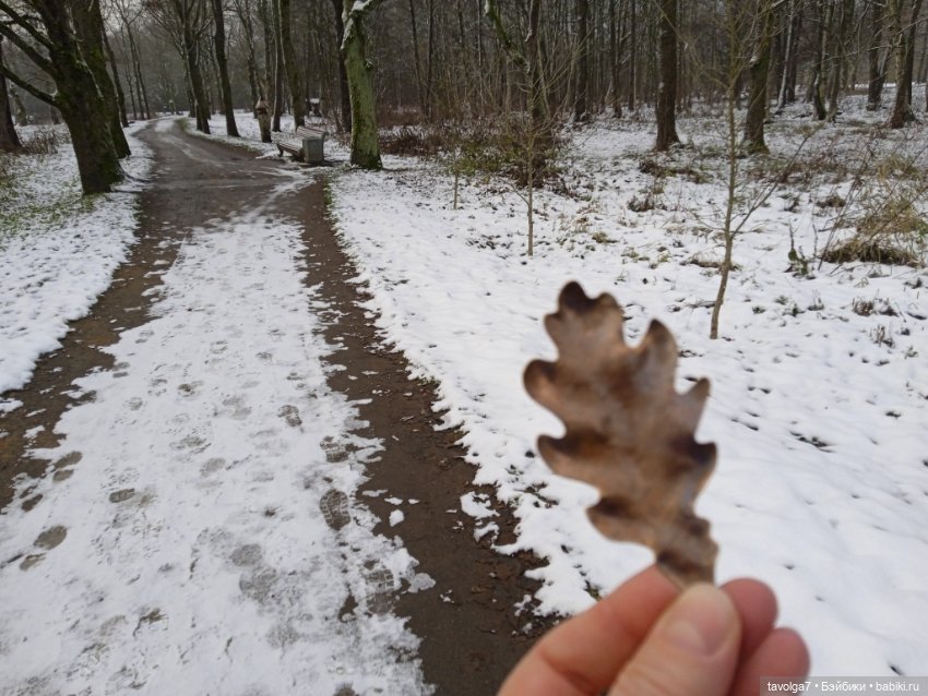 "Претендовали ли мы на надежду?" (фото 6)