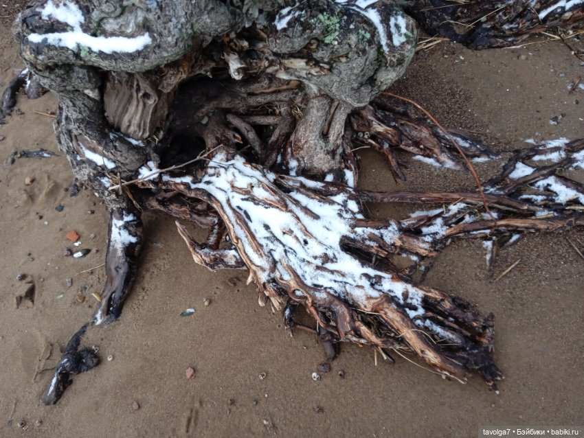 "Претендовали ли мы на надежду?" (фото 10)