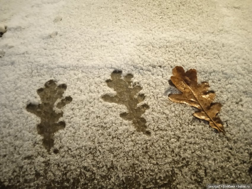 "Претендовали ли мы на надежду?"