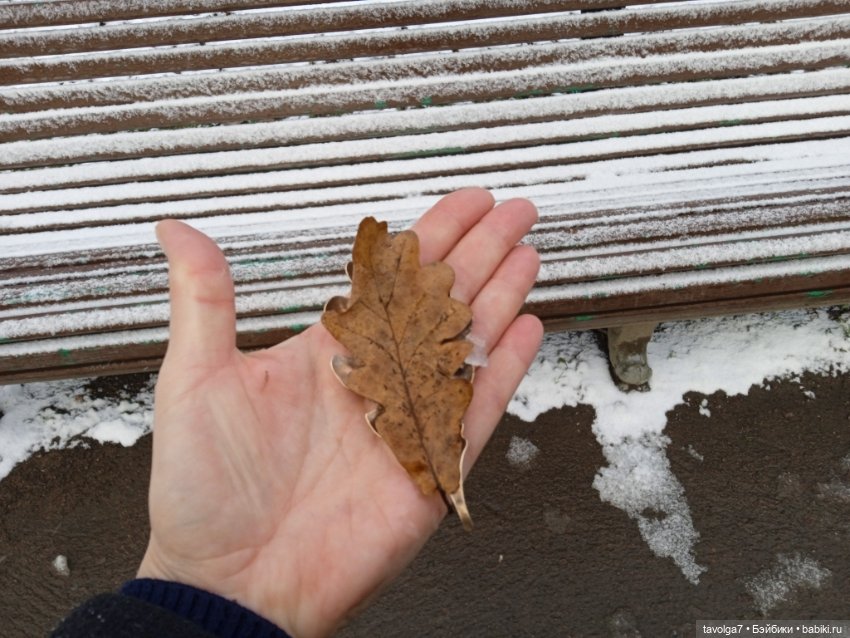 "Претендовали ли мы на надежду?" (фото 7)