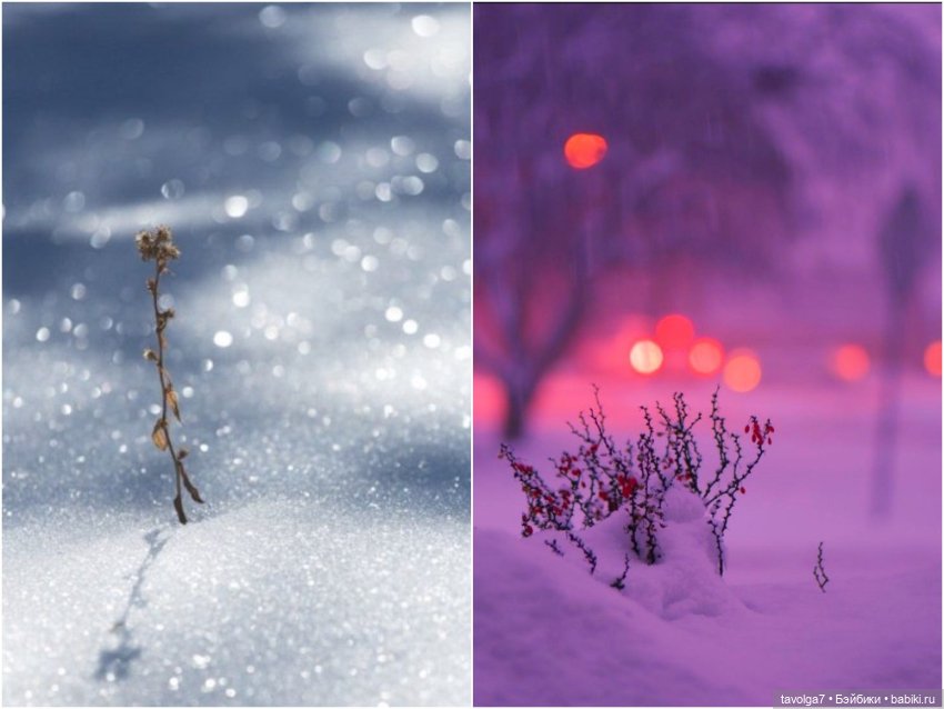 Январь-Февраль переход света (фото 8)