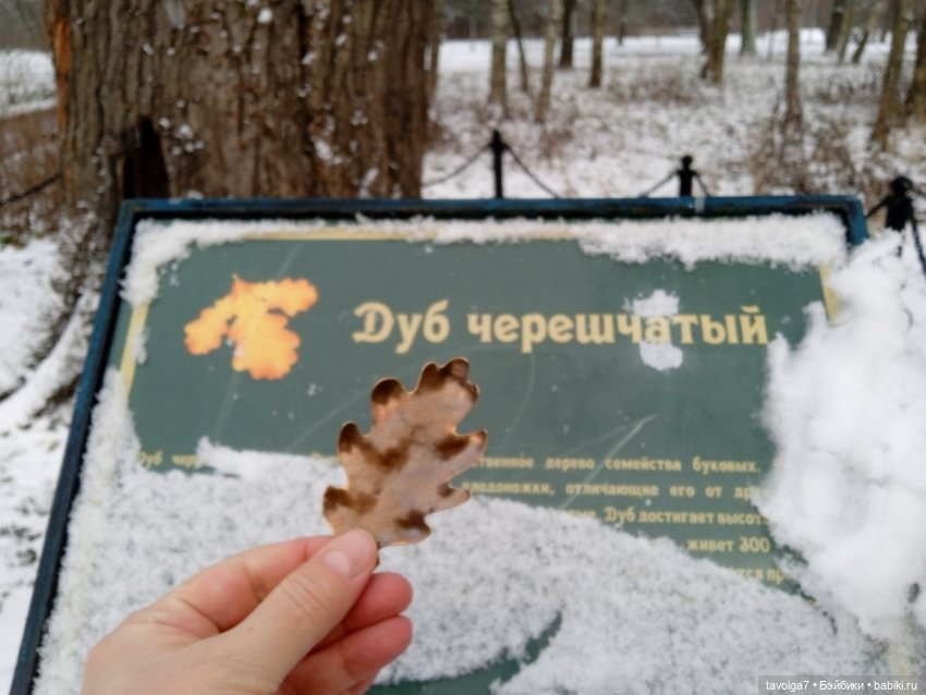 "Претендовали ли мы на надежду?" (фото 5)