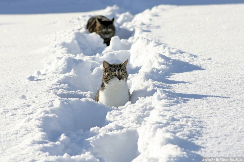 Январь-Февраль переход света