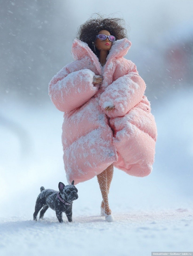 Барби зимой — Куклы Barbie (Барби): Looks