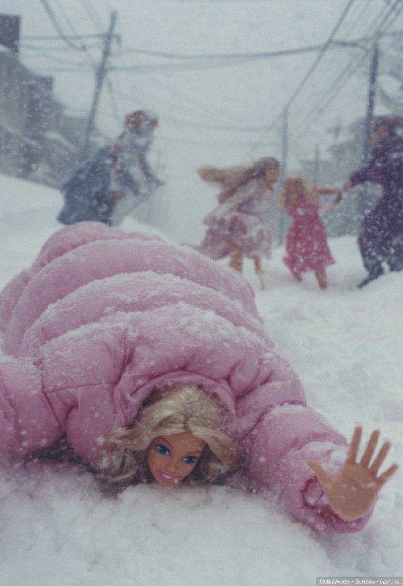 Барби зимой — Куклы Barbie (Барби): Looks (фото 9)