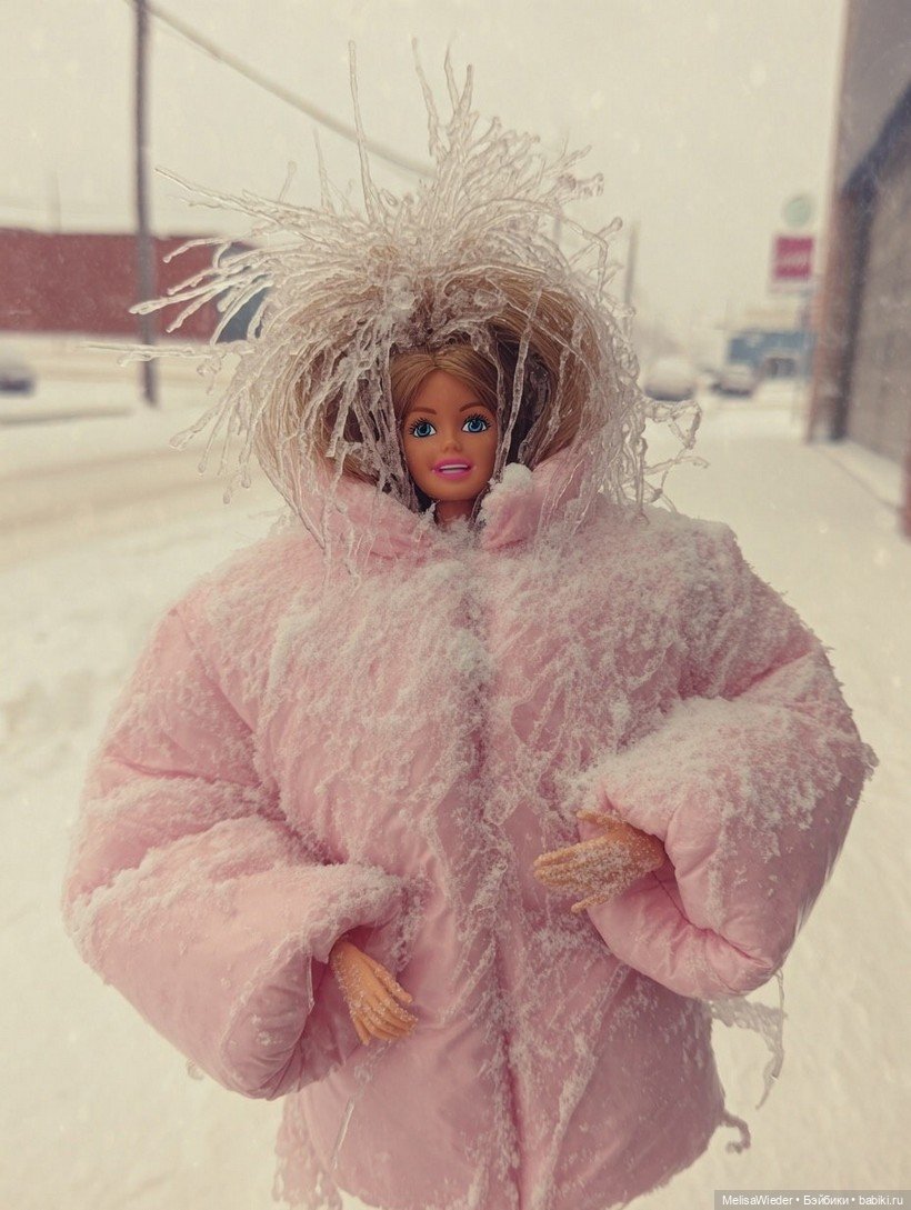 Барби зимой — Куклы Barbie (Барби): Looks