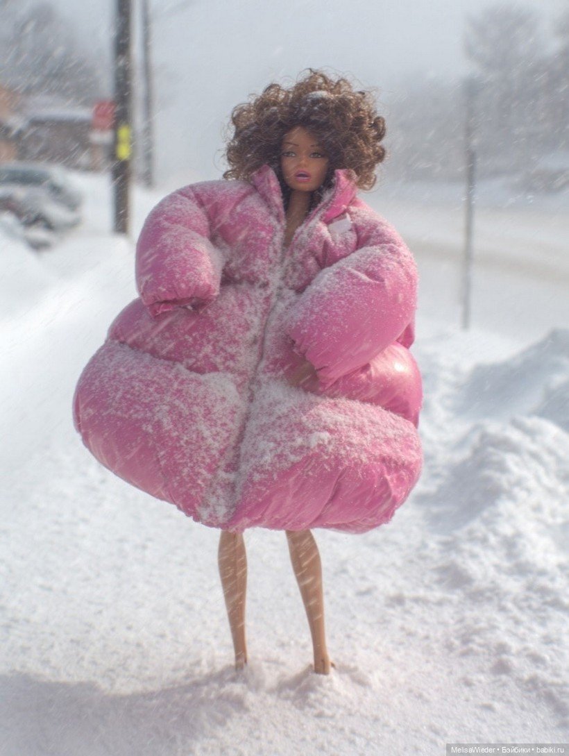Барби зимой — Куклы Barbie (Барби): Looks