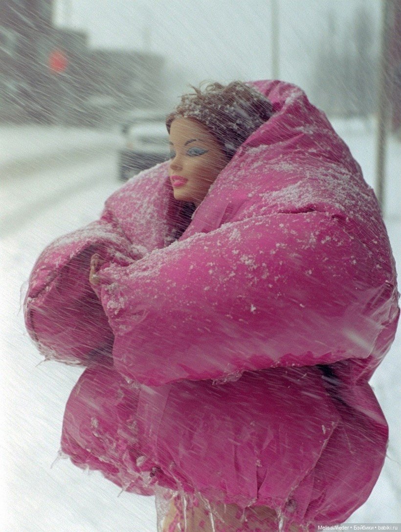 Барби зимой — Куклы Barbie (Барби): Looks (фото 3)