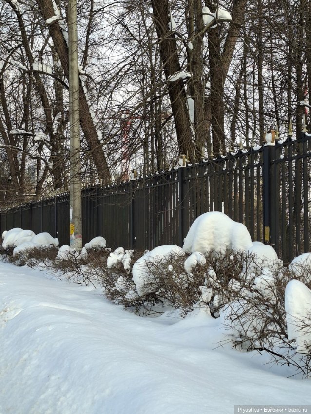 Зимняя прогулка Юки — Аниме куклы (MJD/Винил): Imomo (фото 10)