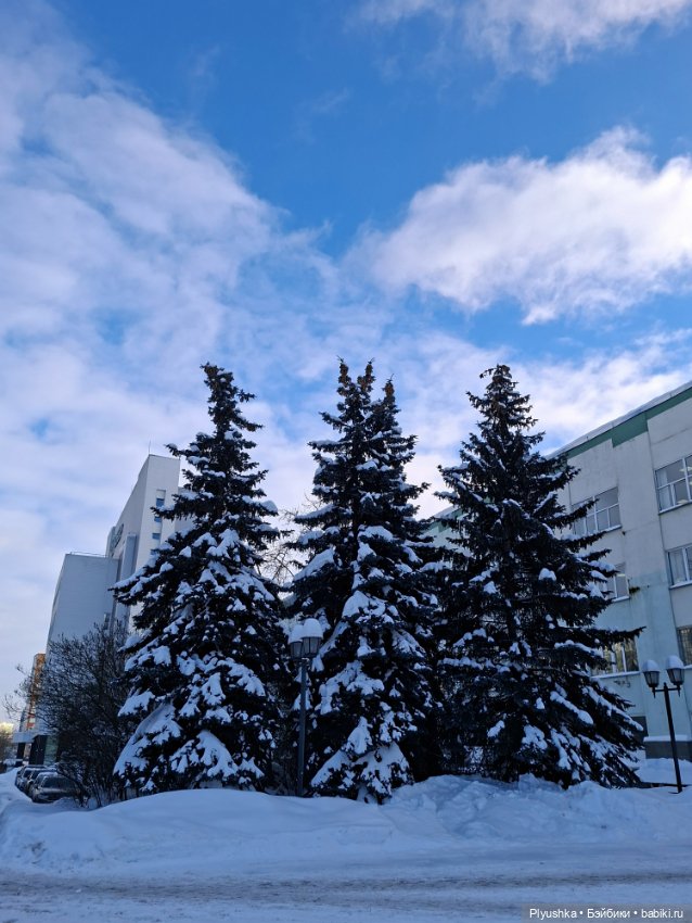 Зимняя прогулка Юки — Аниме куклы (MJD/Винил): Imomo