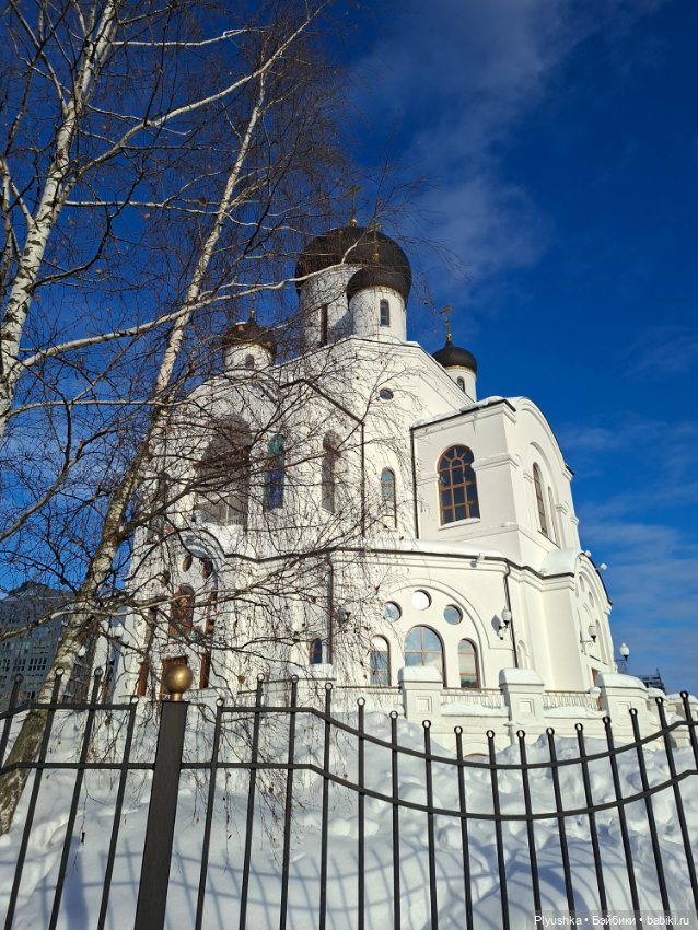 Зимняя прогулка Юки — Аниме куклы (MJD/Винил): Imomo