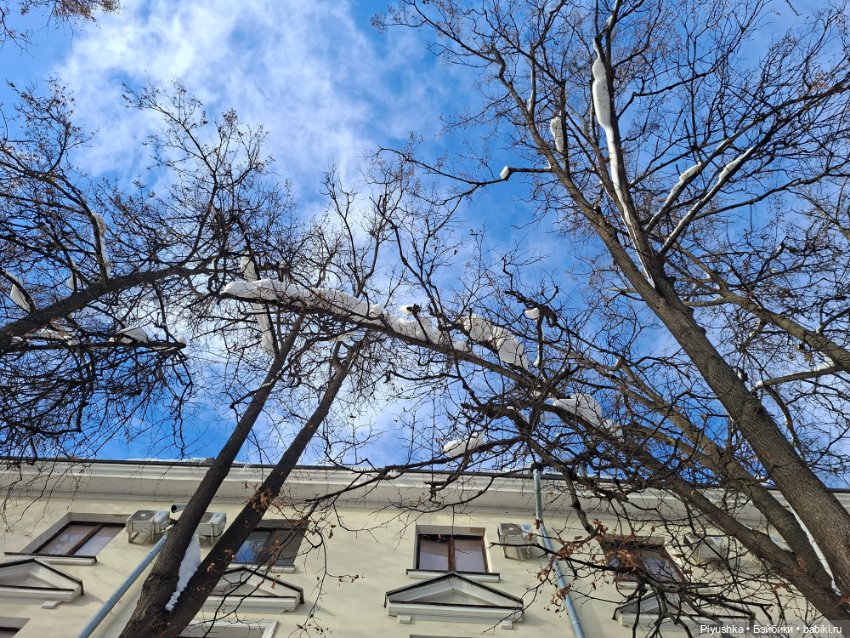 Зимняя прогулка Юки — Аниме куклы (MJD/Винил): Imomo (фото 4)