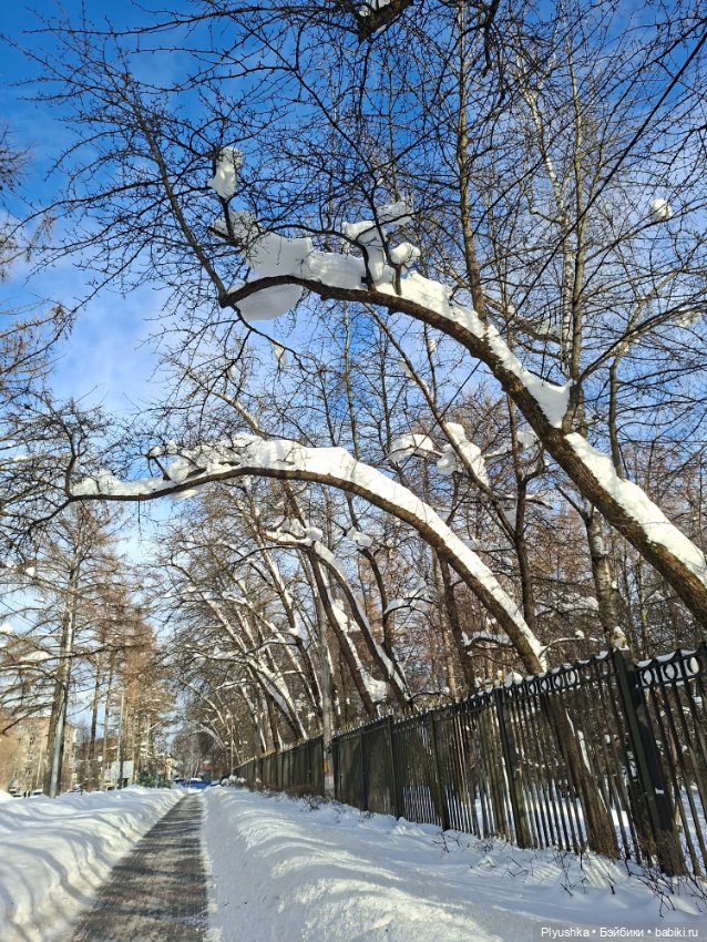 Зимняя прогулка Юки — Аниме куклы (MJD/Винил): Imomo (фото 9)