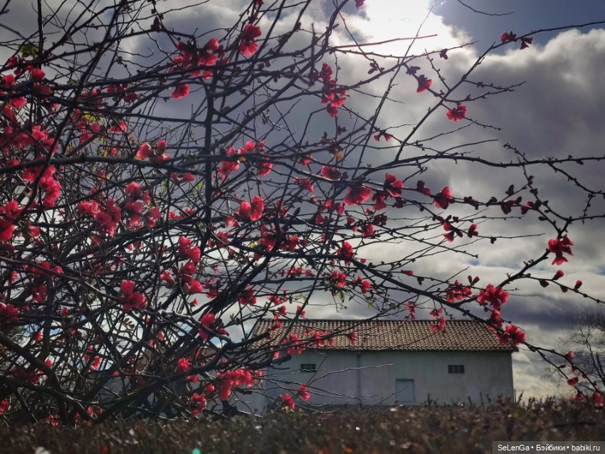 Барби Танго из набора You create barbie basic neutral kit 002 (фото 10)