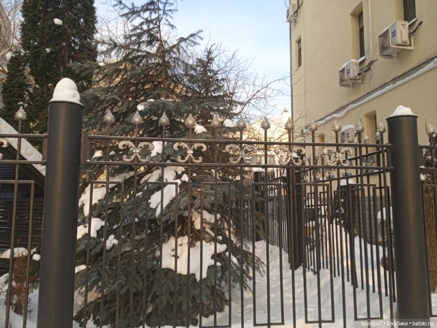 Catrinas Underworld Пинки в зимней Москве (фото 9)