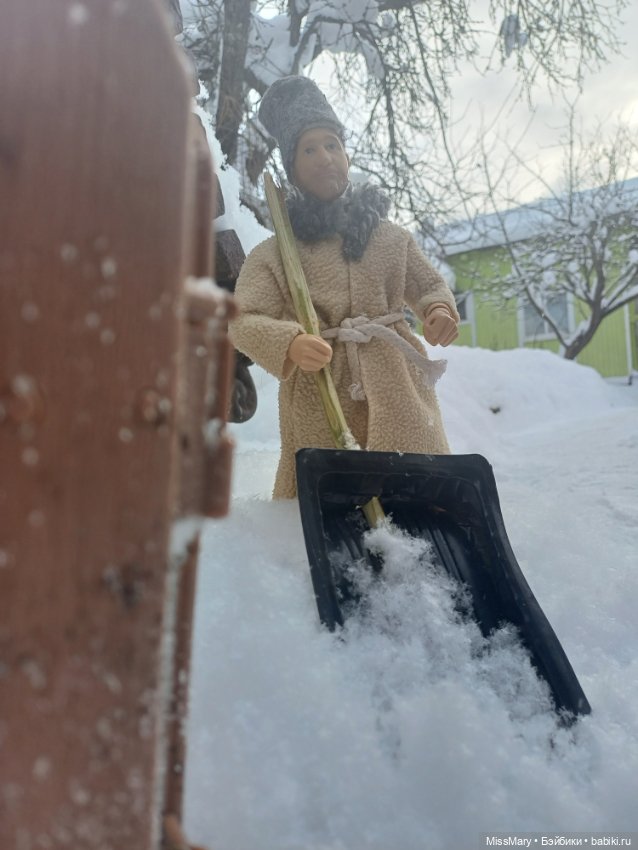 Как Харитонович снег чистил (фото 9)