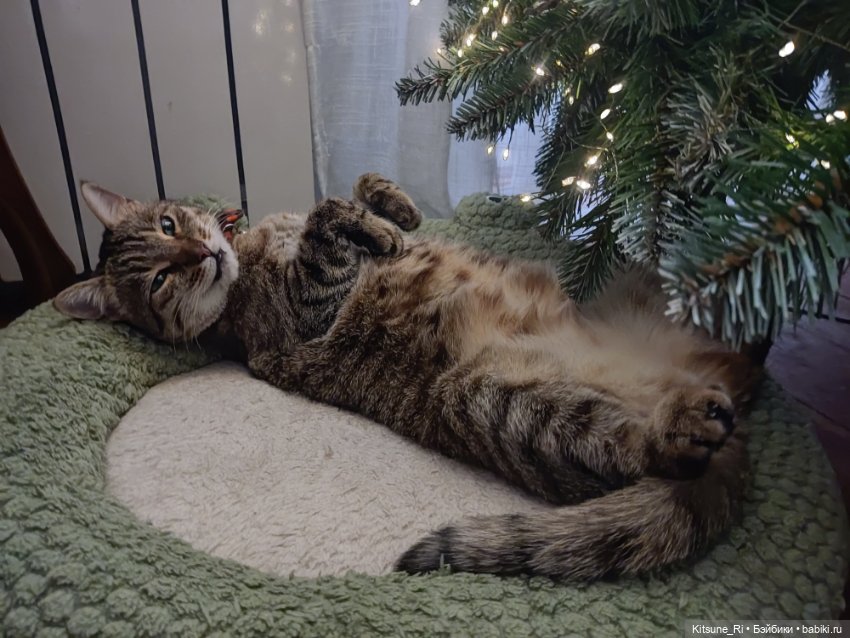 Lunar lore & Zack Event: моль для шубы или шубы для молей