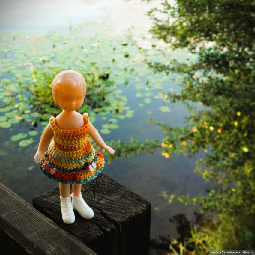 "Яблоко от яблони, яблоко от яблони..." (фото 9)