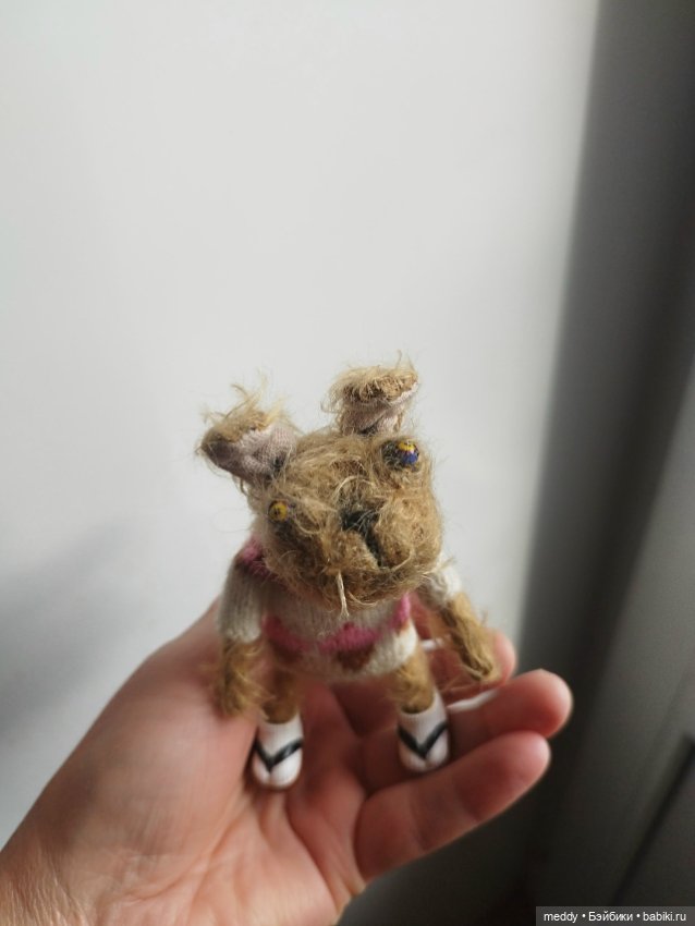 Наша маленькая Собачка Луша (фото 7)