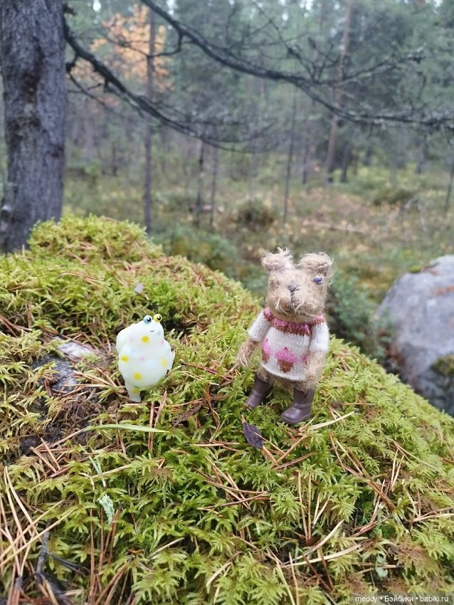 Наша маленькая Собачка Луша (фото 3)