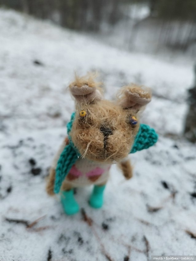 Наша маленькая Собачка Луша