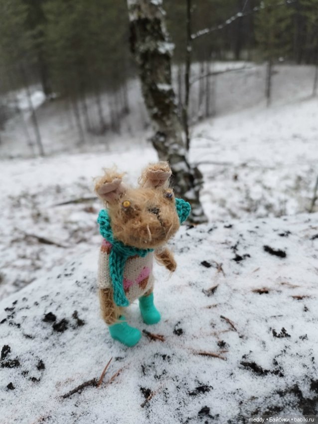 Наша маленькая Собачка Луша (фото 10)