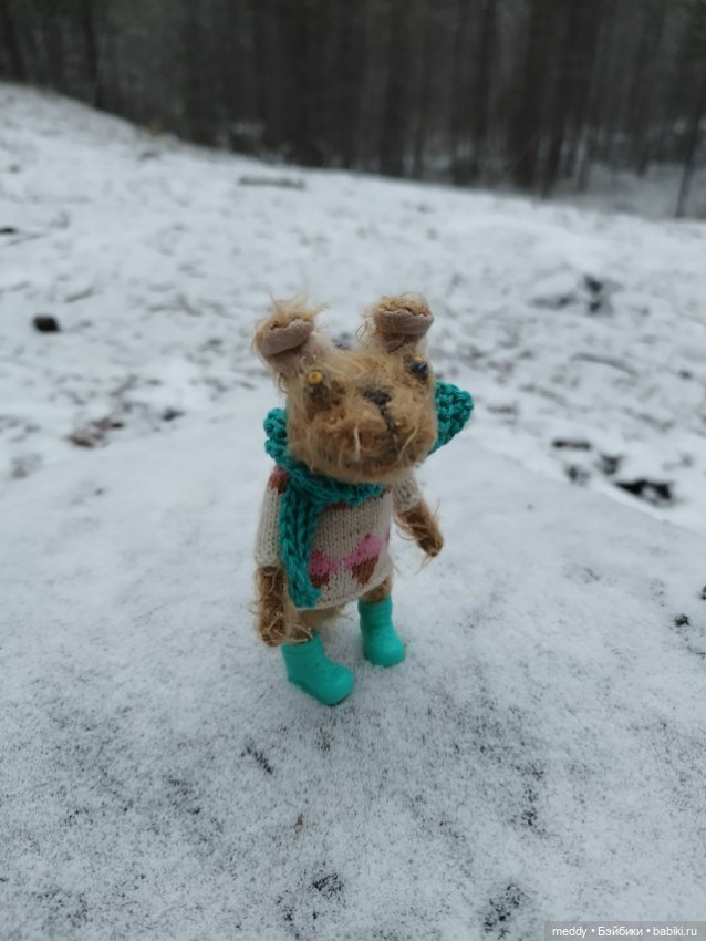 Наша маленькая Собачка Луша